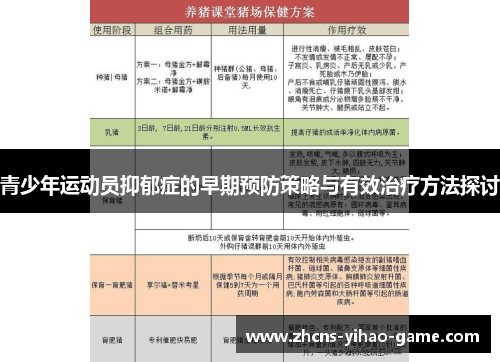青少年运动员抑郁症的早期预防策略与有效治疗方法探讨