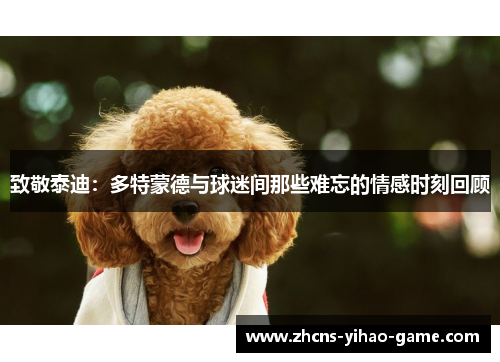 致敬泰迪：多特蒙德与球迷间那些难忘的情感时刻回顾